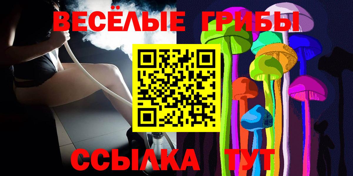 Галлюциногенные грибы Psilocybe Кашира