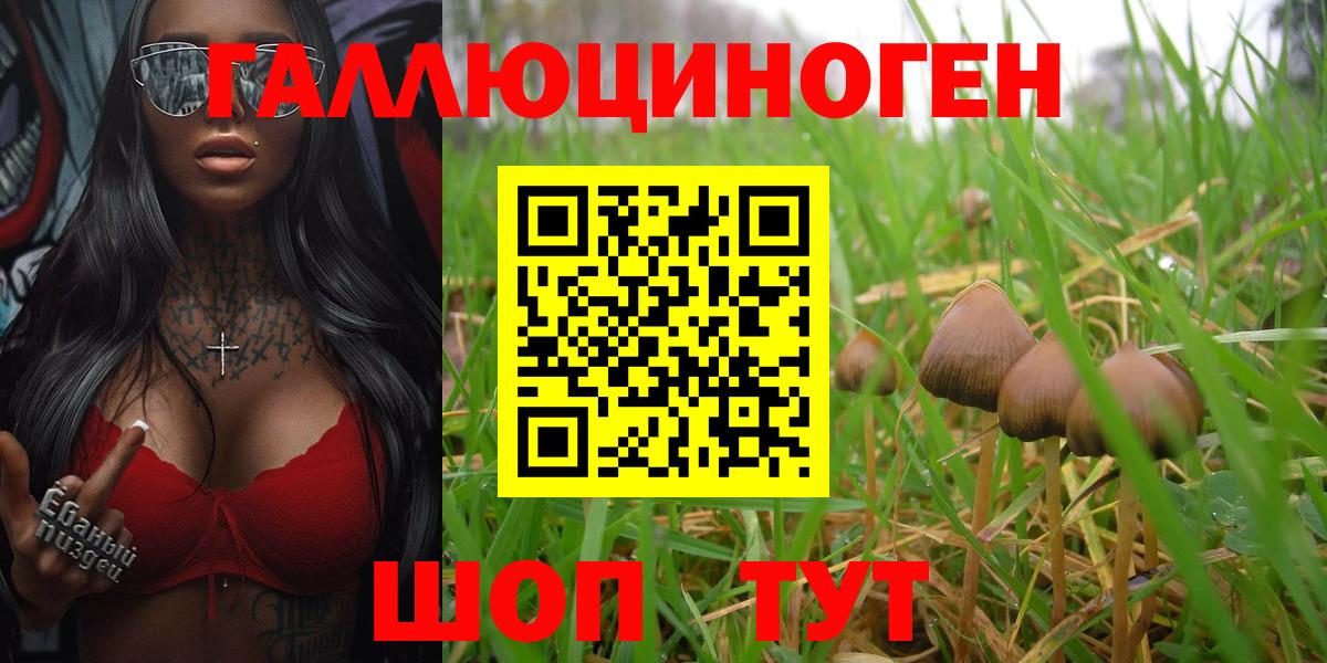 Кашира  Псилоцибиновые грибы ЛСД  Вход с VPN 